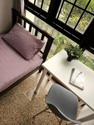 Seasons Park (D26), Condominium #505318731